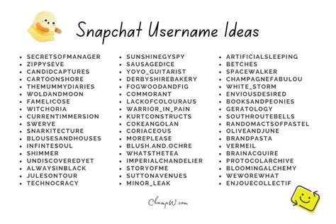 1600+ Unique Snapchat Usernames Ideas。